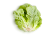 Picture of Alface